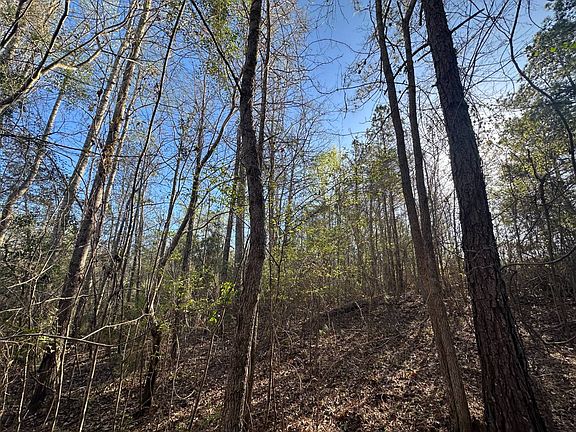 4th image of 0 County Road 15