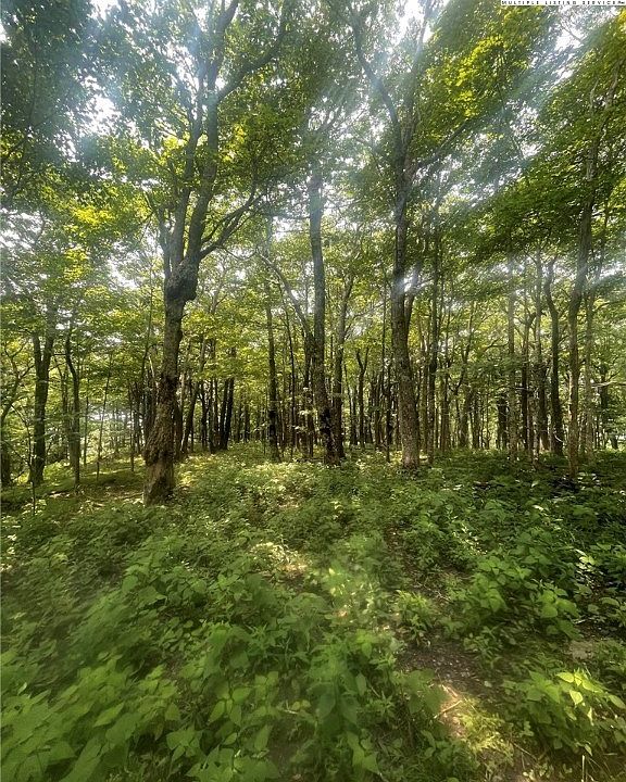 2nd image of TBD Rousseau Farm Road
