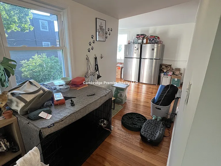 45 Raymond Ave #1 — Photo 23