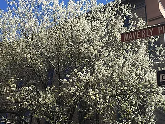 161 West 10th Street in West Village