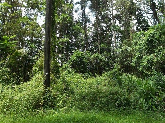 1st image of Coral Cir Lot 377