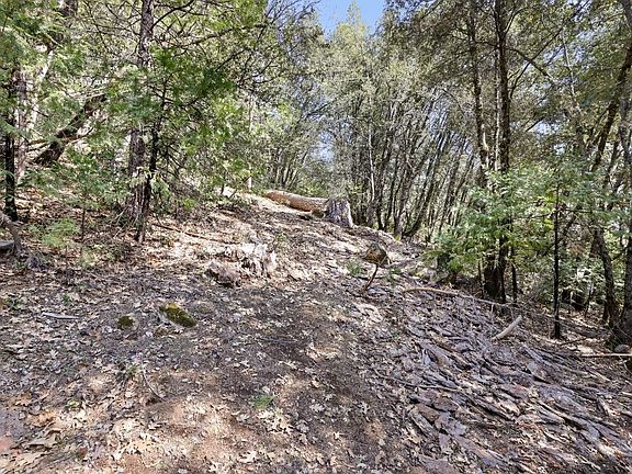 4th image of 23265 Quail Dr
