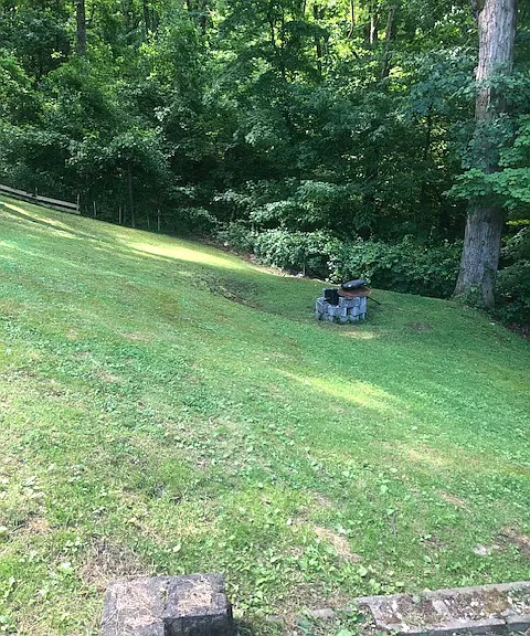Lower back yard