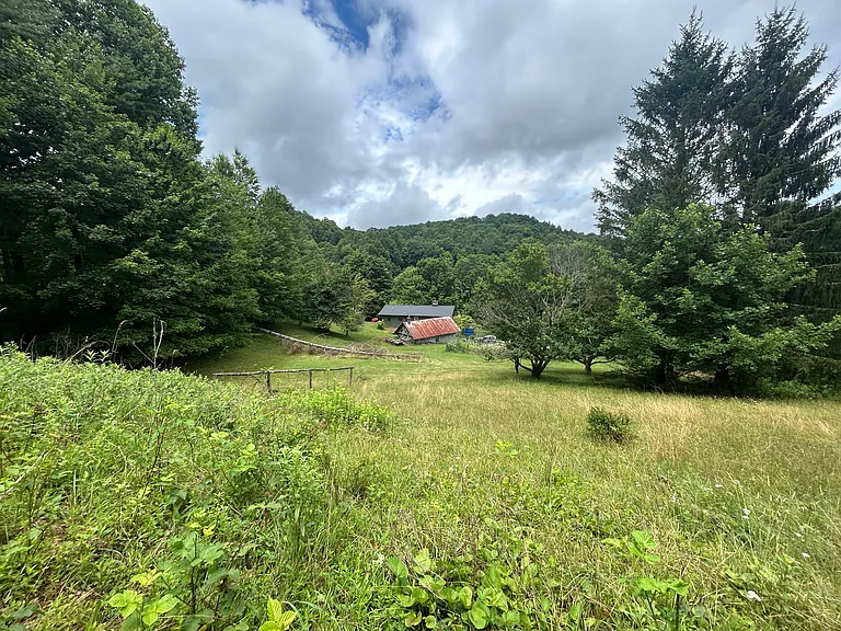 Enjoy the extra large fenced garden plot or walk to the Middle Fork Greenway.