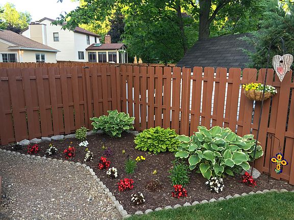 Back garden