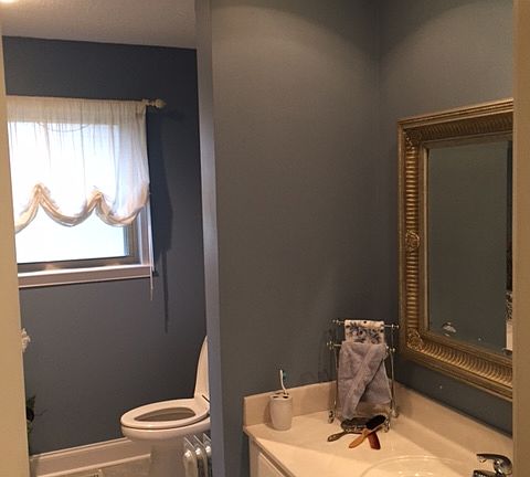 Updated hall bathroom
