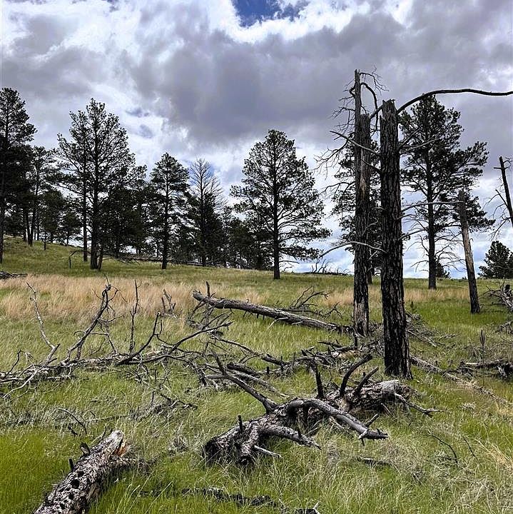 2nd image of 165 Gruenhagen Rd