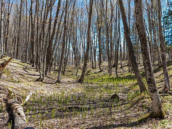 5th image of TBD A Upper Freda Shores Rd