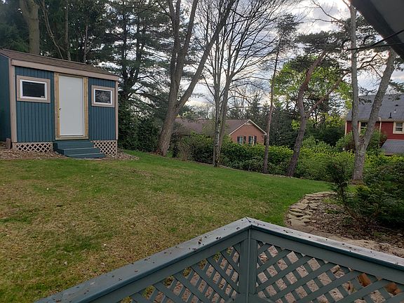 Treed Back Yard