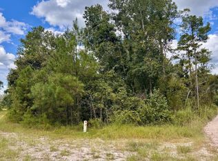 LOT 44 SW 32nd Ln, Jasper, FL 32052
