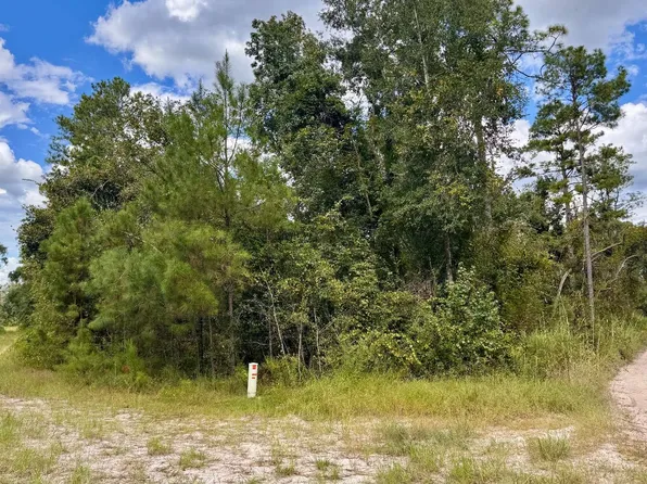 LOT 44 SW 32nd Ln, Jasper, FL 32052