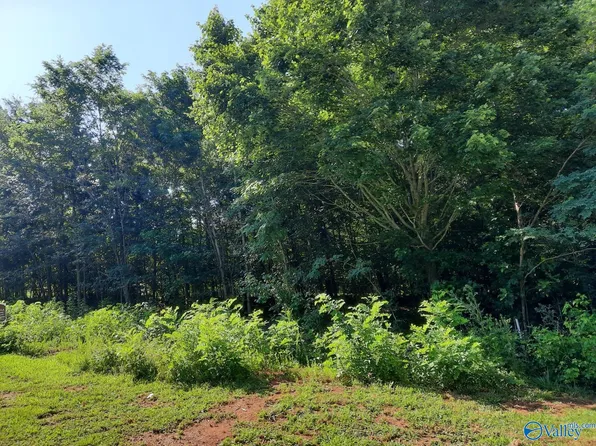 LOT 120 Lookout Mountain Dr, Scottsboro, AL 35769