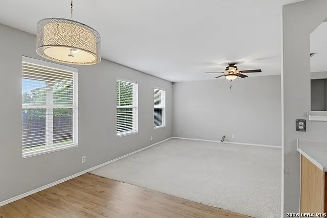 25537 Gold Yarrow — Photo 23