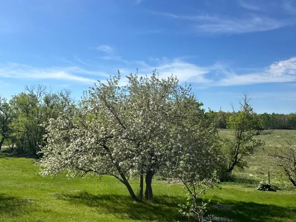16166 510th Ave, Menahga, MN 56464