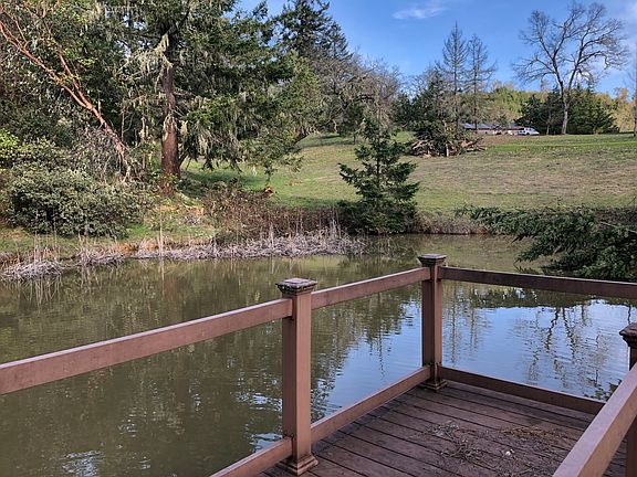 Year round pond w dock