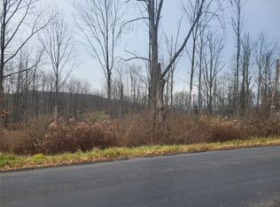 3238 Webb Rd, Binghamton, NY 13903