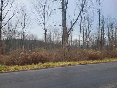 3238 Webb Rd, Binghamton, NY, 13903