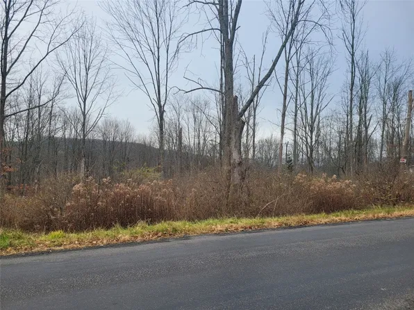 3238 Webb Rd, Binghamton, NY 13903