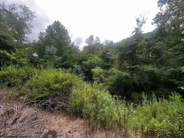 2 River St, Morgantown, WV 26501