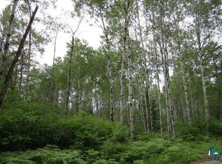 Bear Island Cabin Dr, Babbitt, MN 55706