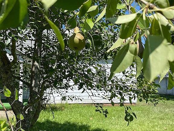 5th image of 311 Torrington Rd