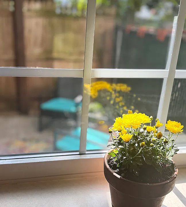 1 bed · 1 bath · 700 ft² in Bay Ridge, Brooklyn