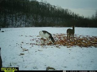 0 Cape Horn Rd, Dexter City, OH 45727