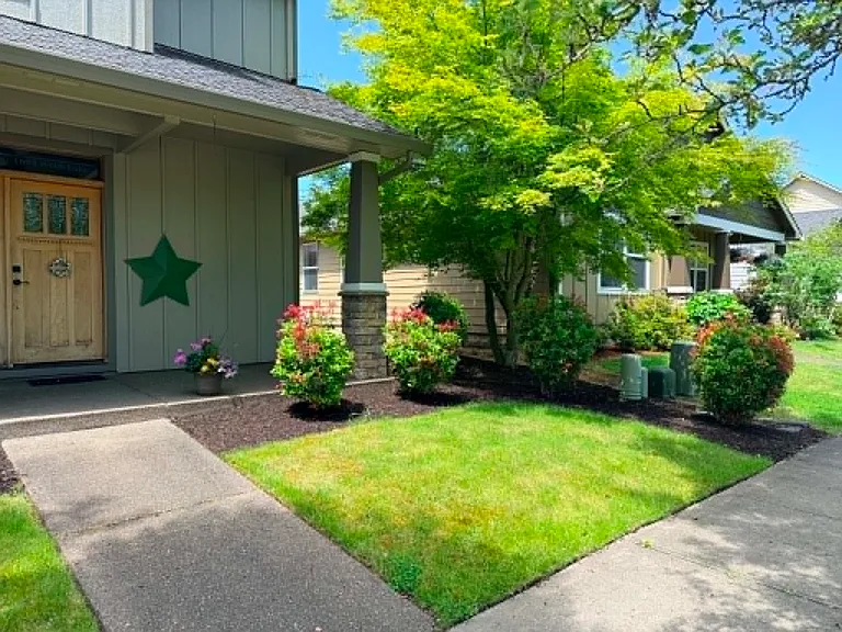 Recent photo of front yard