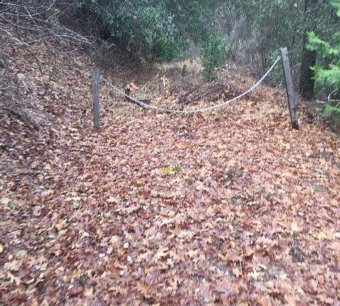 5th image of 5008 Wylderidge Dr