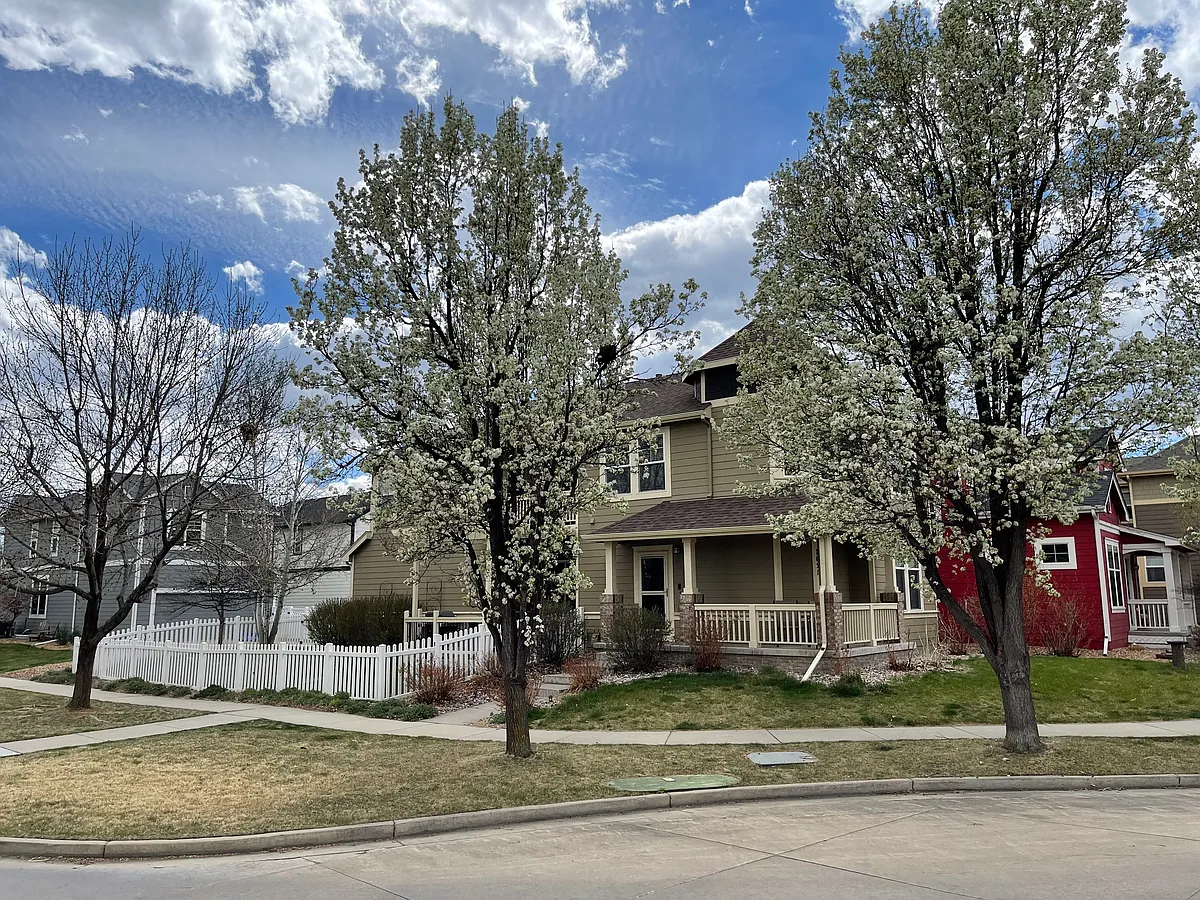 Building Photo - 2651 Rock Creek Dr