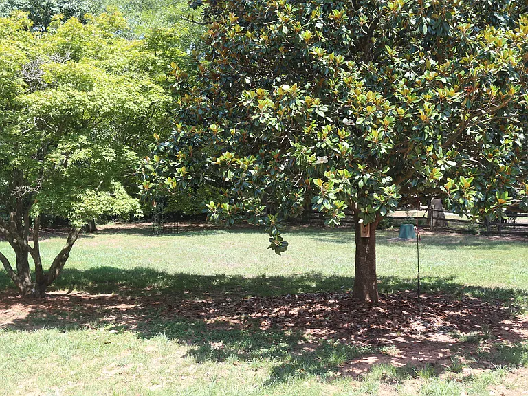 580 Odell School Rd — Photo 14