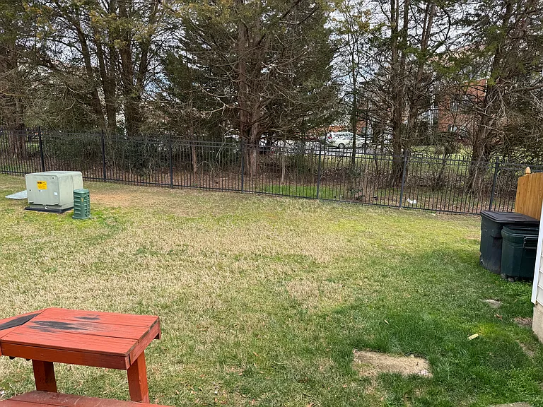 Rear Yard