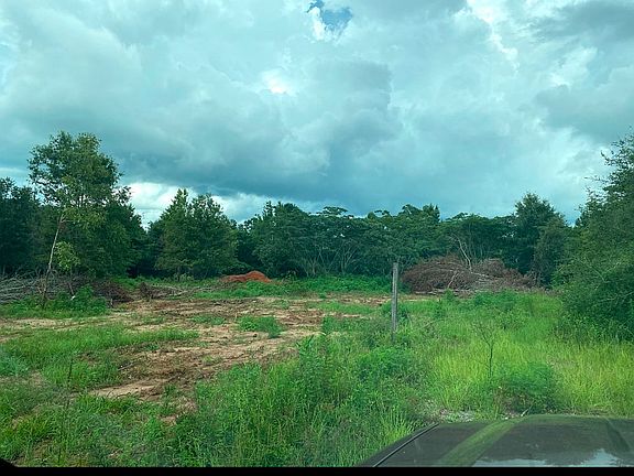 Cleared area for house