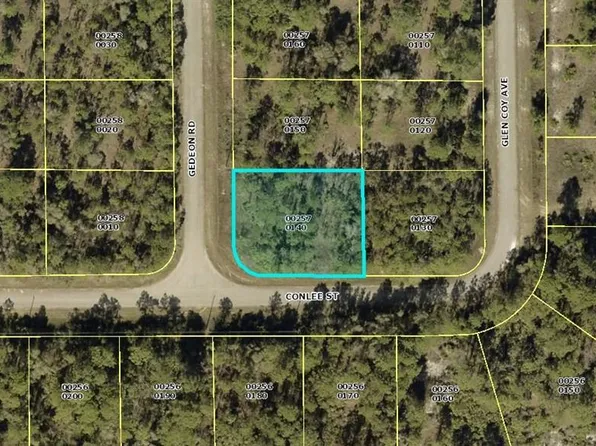 847 Gedeon Rd, Lehigh Acres, FL 33974
