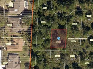 Park Forest Blvd, Mount dora, FL 32757