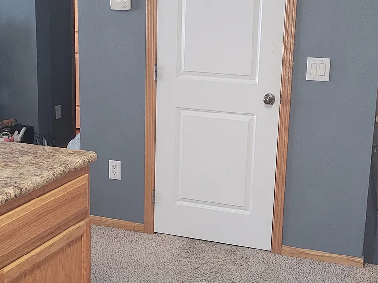 Kitchen walk-in pantry door