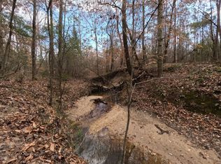 Saint John Rd, Braxton, MS 39044