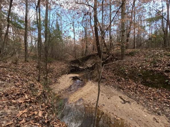 Saint John Rd, Braxton, MS 39044
