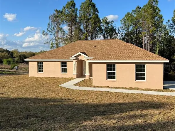 11125 SE 119th St, Belleview, FL 34420