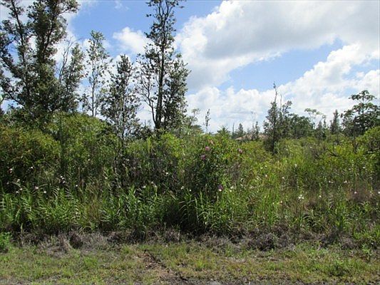 1st image of 6th Ave Lot 2310