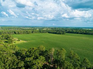 1161 Lone Star School Rd, Adel, GA 31620