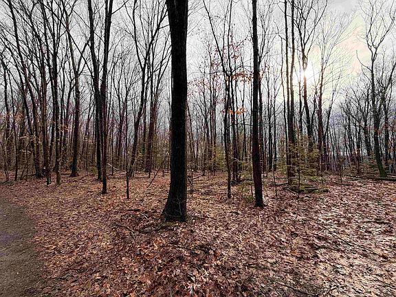 4th image of 0 Old Walpole/Valley View Road