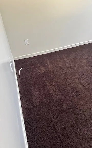 125 Ruth Harris Way — Photo 11