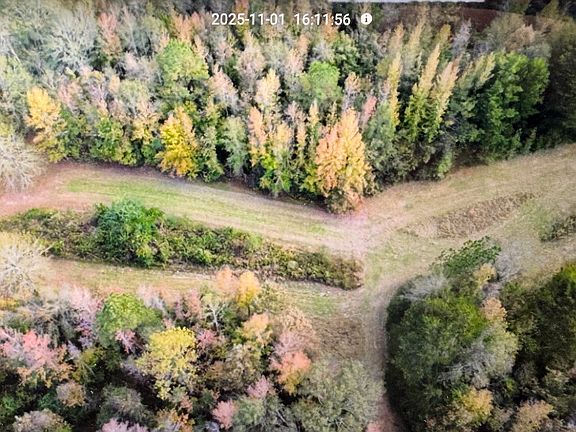 Excellent designed food plots