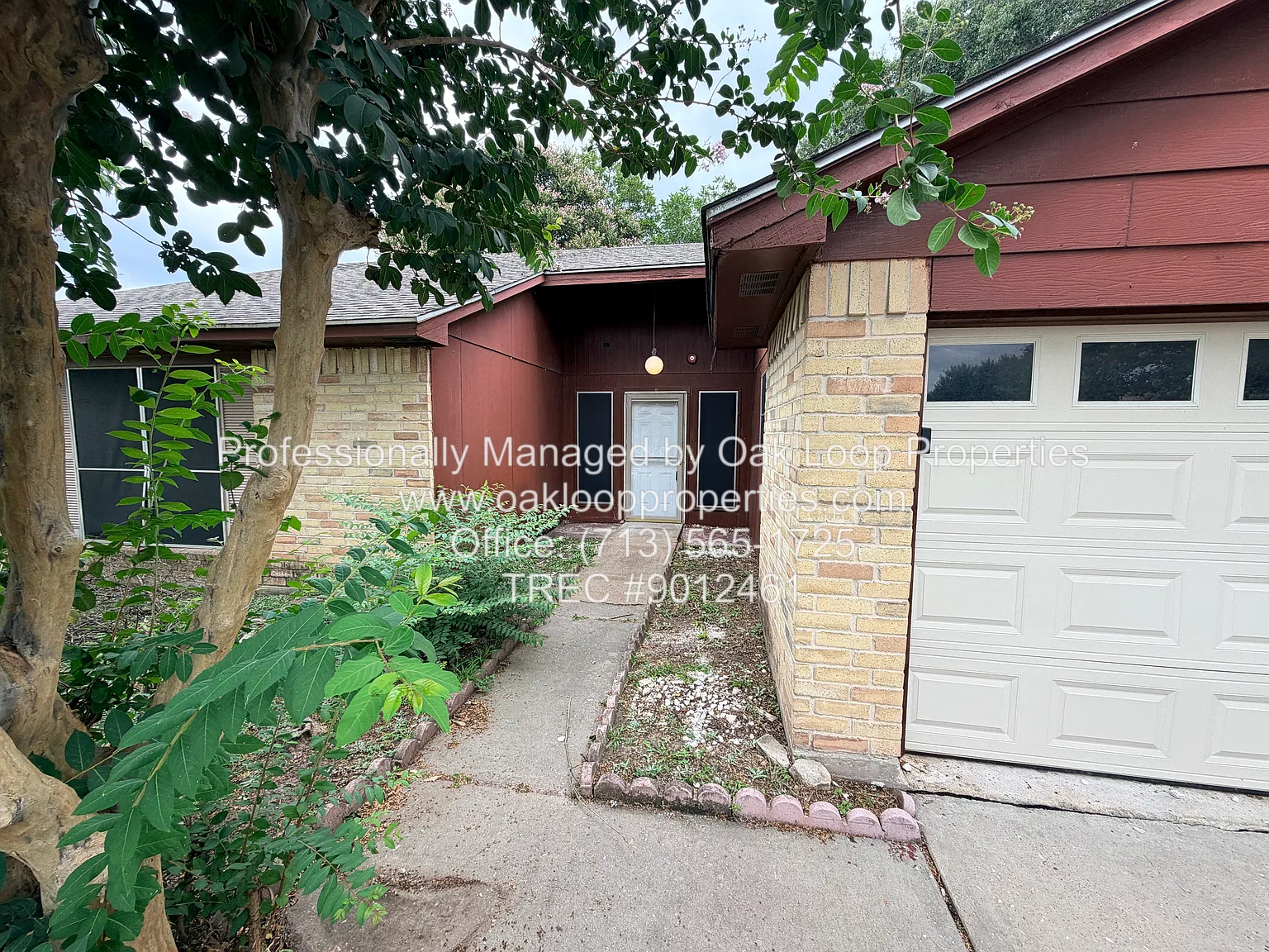 Houston — Photo 4