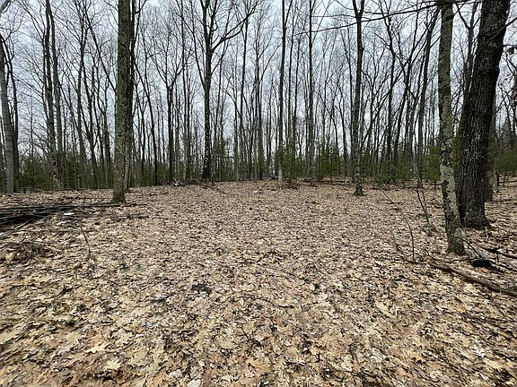 4th image of V/l W Deer Track Trl #4