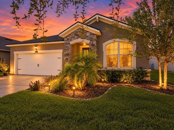 11417 BLUE WOODS DRIVE, RIVERVIEW, FL 33569