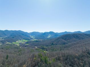 1088 Clarks Branch Rd, Leicester, NC 28748