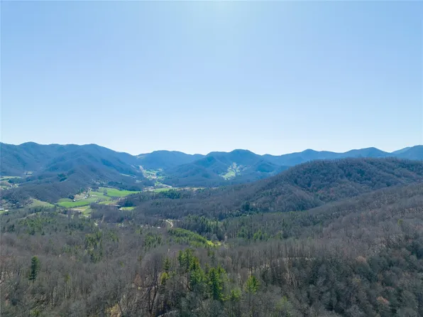 1088 Clarks Branch Rd, Leicester, NC 28748
