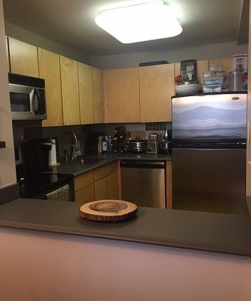 2nd image of 222 E Pearson St APT 1903